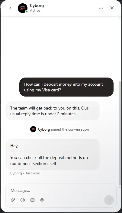 CSGORoll: Chat: reply “under 2 minutes”